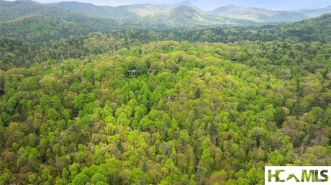 205 Hickory Drive Sapphire NC 28774