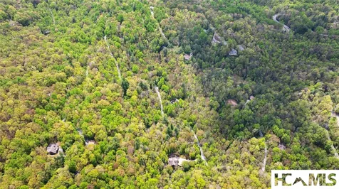 205 Hickory Drive Sapphire NC 28774