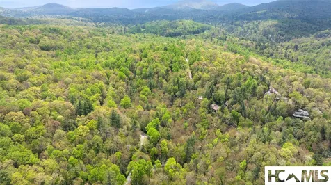 205 Hickory Drive Sapphire NC 28774