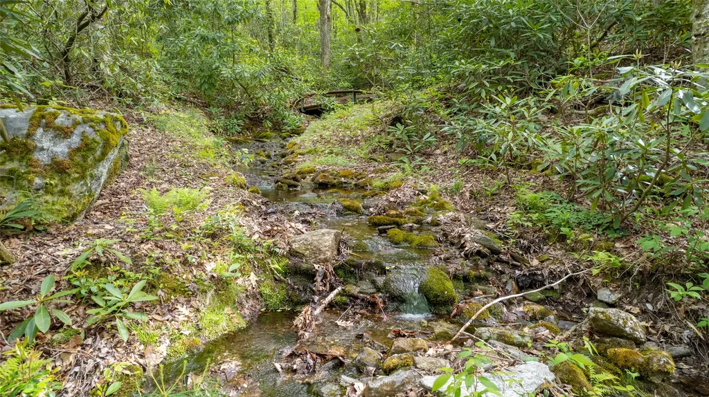 241 Lullwater Cove Cullowhee NC 28723