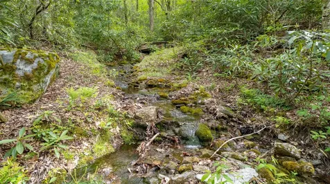 241 Lullwater Cove Cullowhee NC 28723