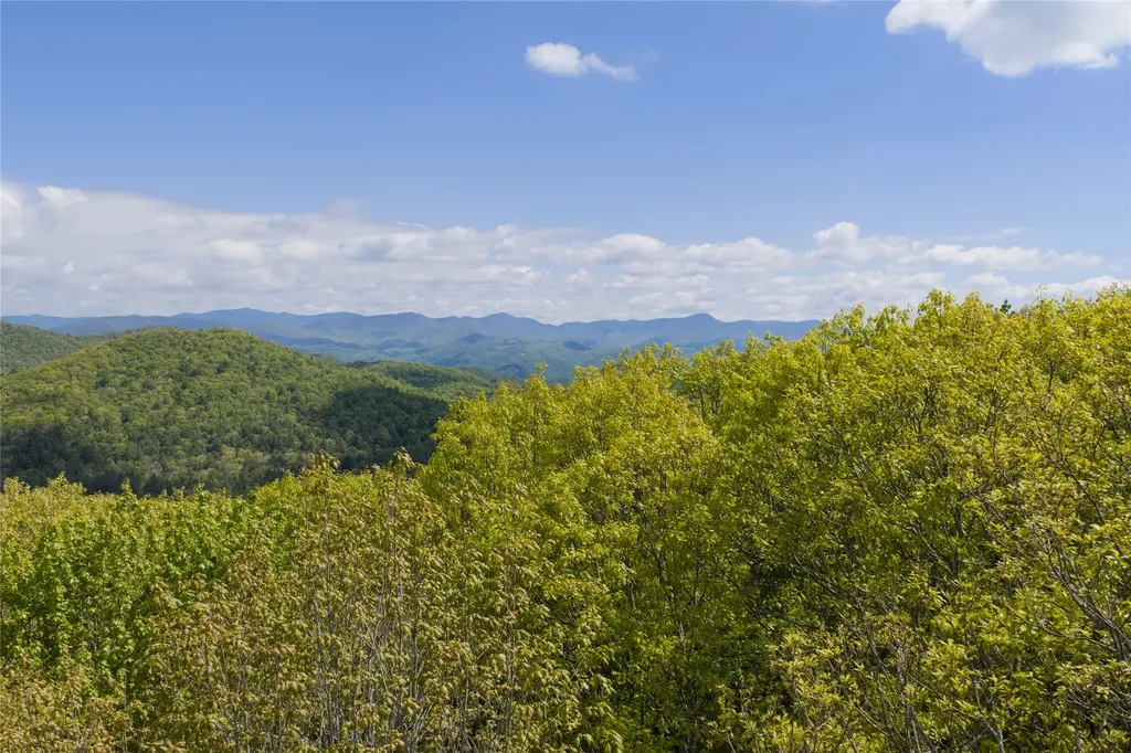 C47 Roaming Road Glenville NC 28736