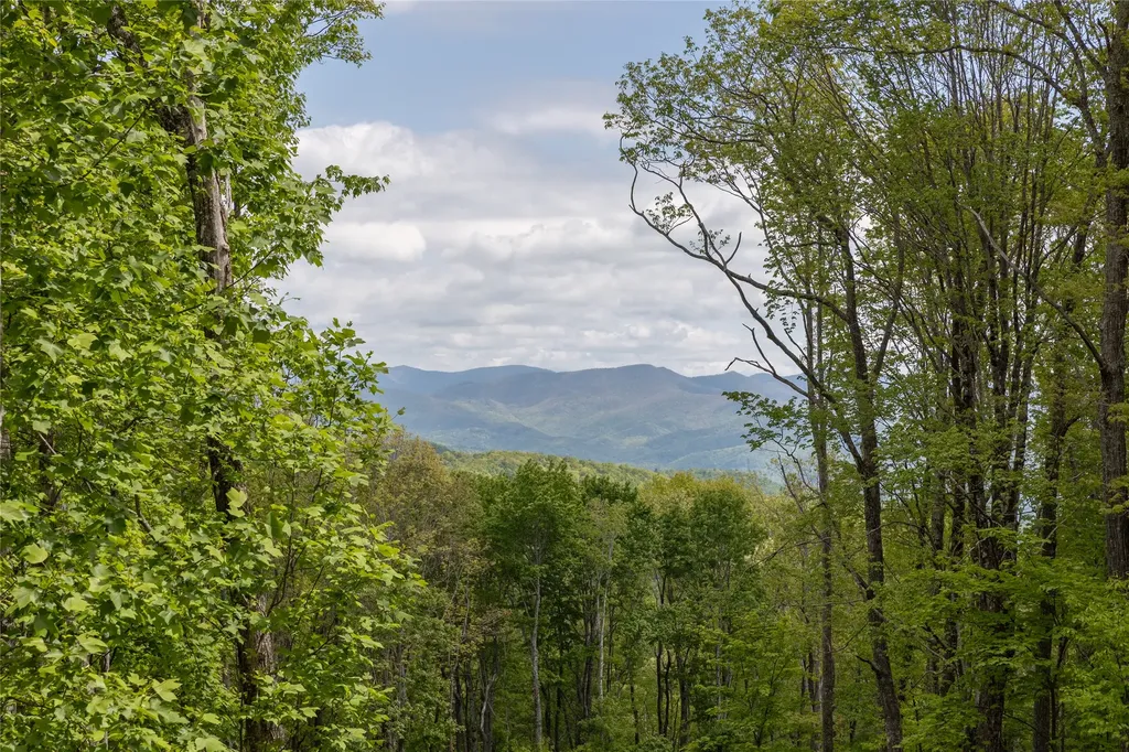 C47 Roaming Road Glenville NC 28736
