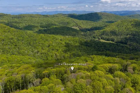 C47 Roaming Road Glenville NC 28736