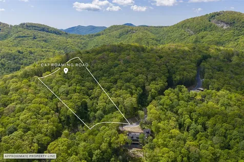 C47 Roaming Road Glenville NC 28736