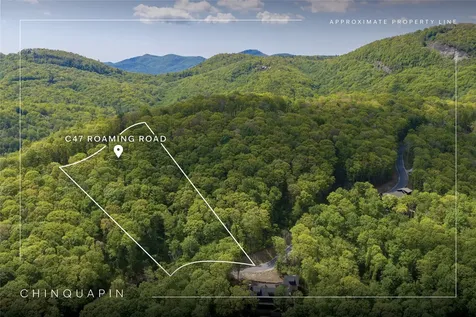 C47 Roaming Road Glenville NC 28736