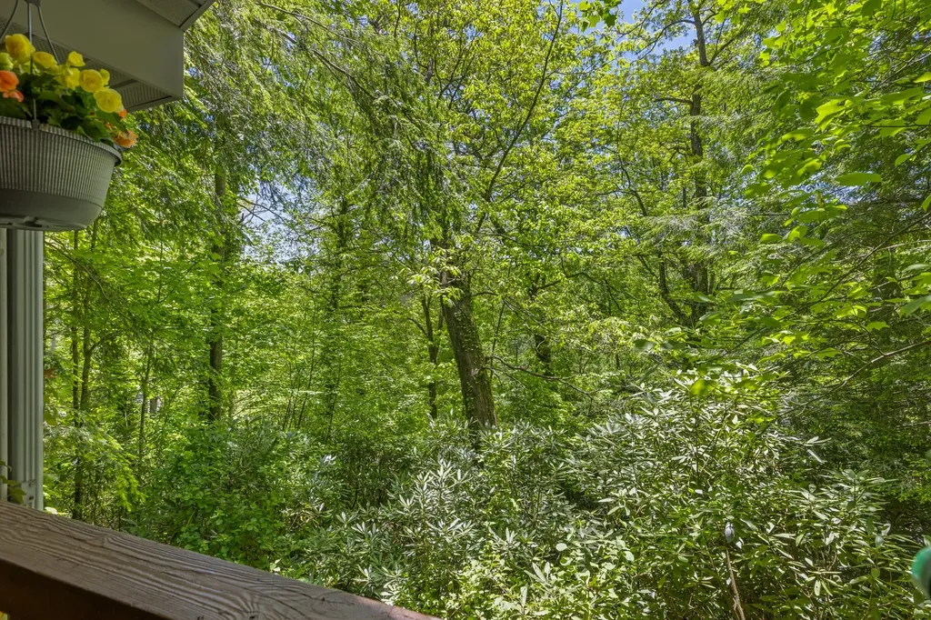 361 Wyanoak Road Highlands NC 28741