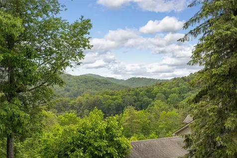 36 Heavens Gate Lane Glenville NC 28736