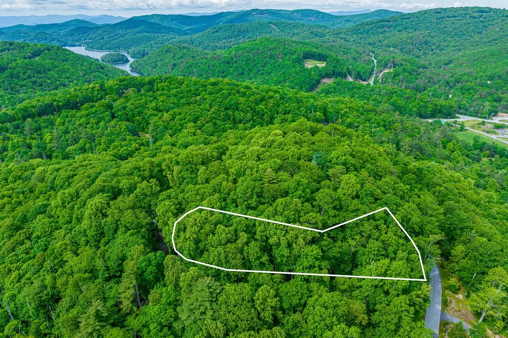 E-156 Buckhorn Way Cashiers NC 28717
