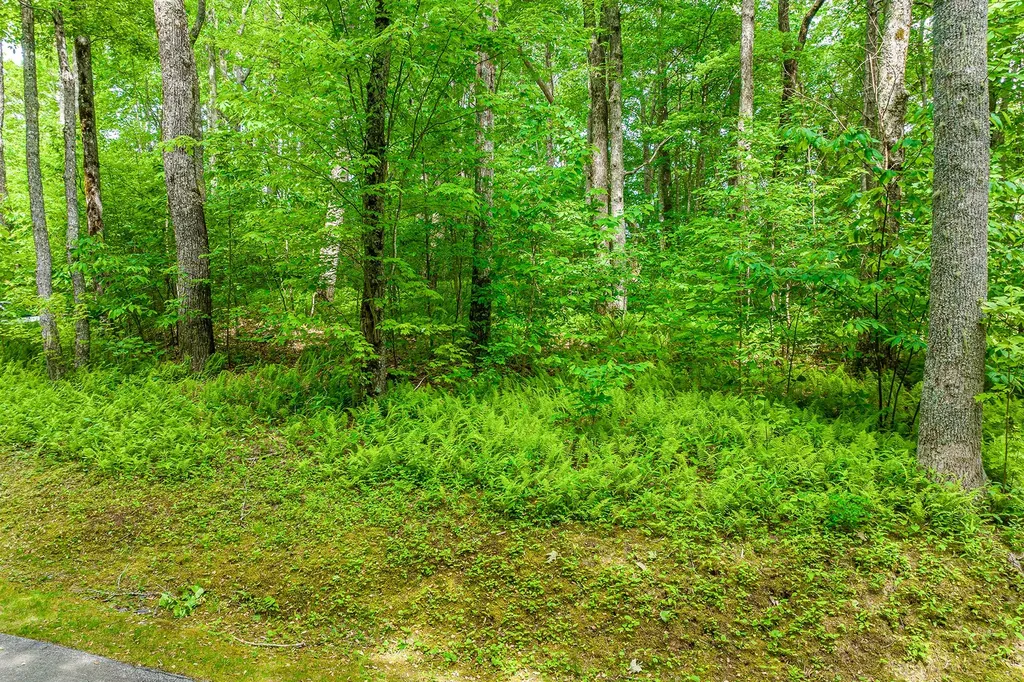 E-156 Buckhorn Way Cashiers NC 28717