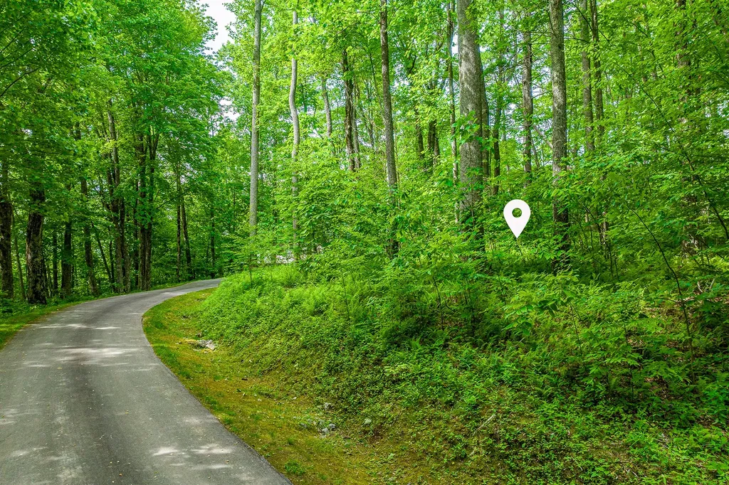 E-156 Buckhorn Way Cashiers NC 28717