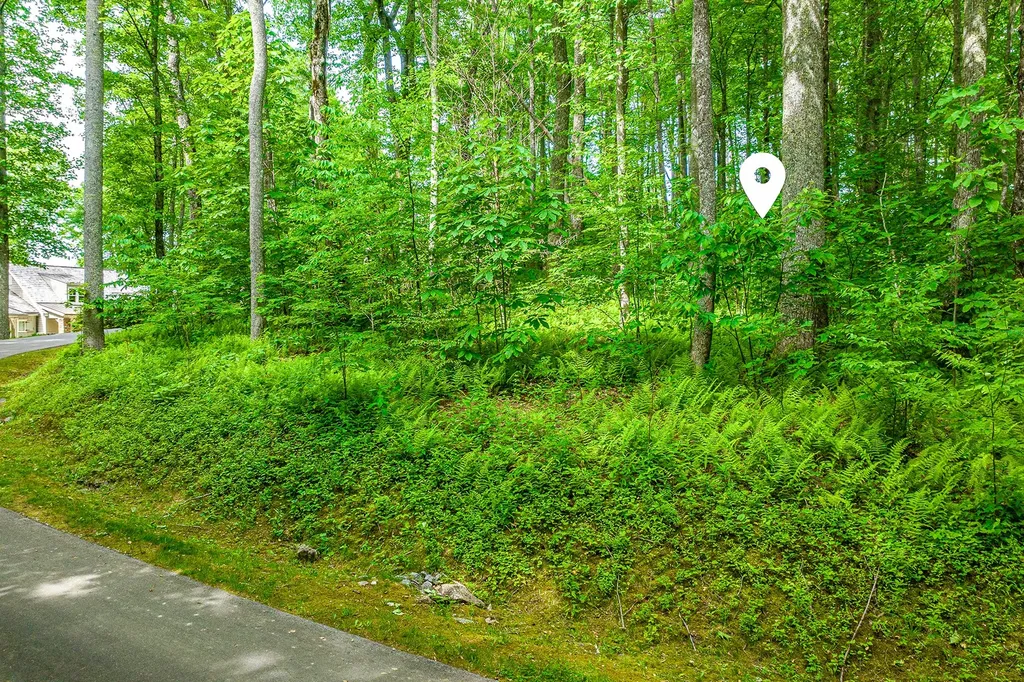 E-156 Buckhorn Way Cashiers NC 28717