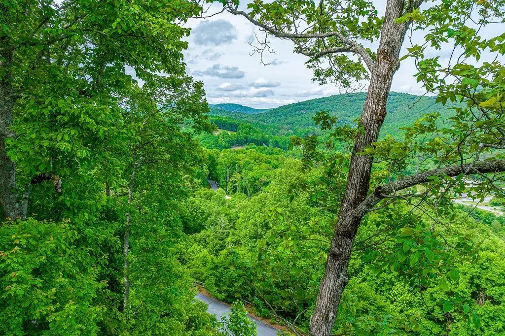 E-156 Buckhorn Way Cashiers NC 28717