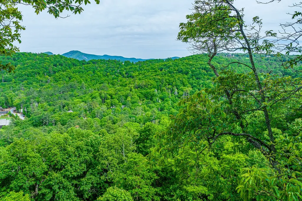 E-156 Buckhorn Way Cashiers NC 28717