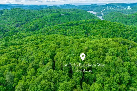E-156 Buckhorn Way Cashiers NC 28717