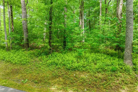 E-156 Buckhorn Way Cashiers NC 28717