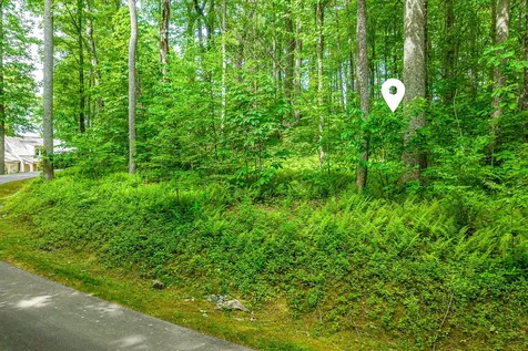 E-156 Buckhorn Way Cashiers NC 28717