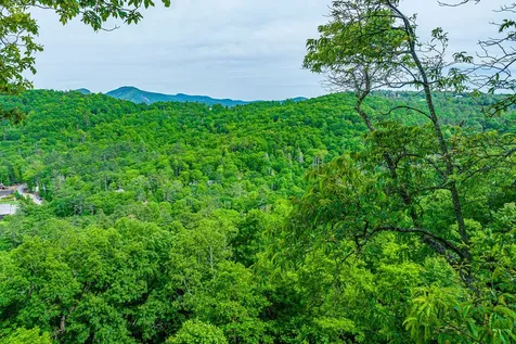 E-156 Buckhorn Way Cashiers NC 28717