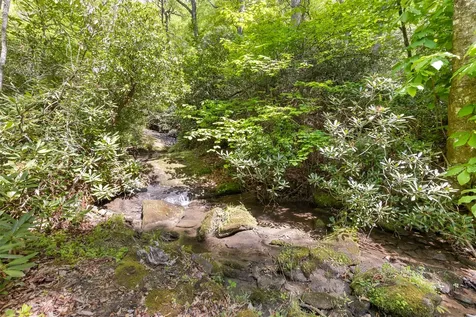 46 Lightning Bug Trail Scaly Mountain NC 28775