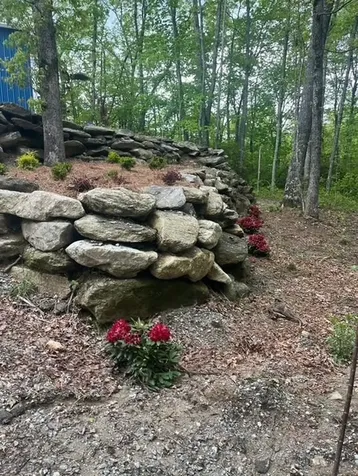 46 Lightning Bug Trail Scaly Mountain NC 28775