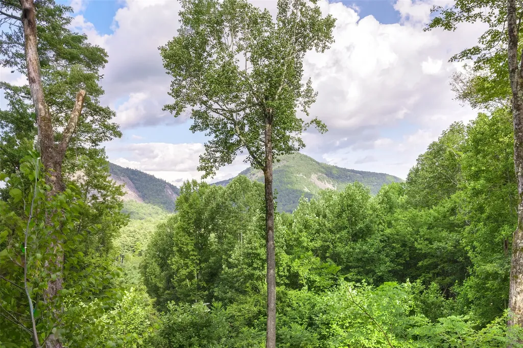 25 New Morning Lane Cashiers NC 28717