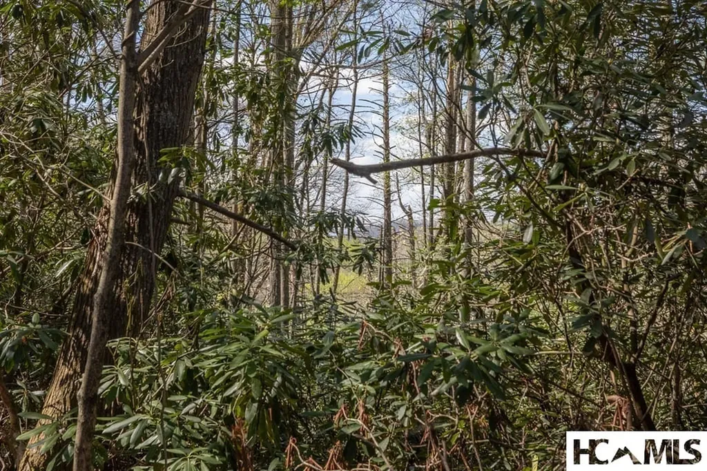 4419 Flat Mountain Road Highlands NC 28741