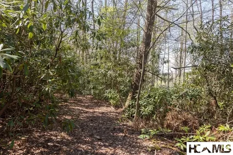 4419 Flat Mountain Road Highlands NC 28741