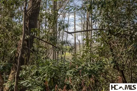 4419 Flat Mountain Road Highlands NC 28741