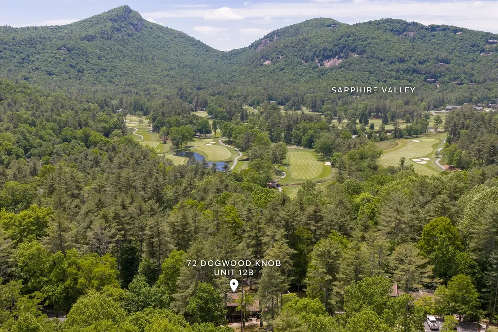 72 Dogwood Knob Sapphire NC 28774