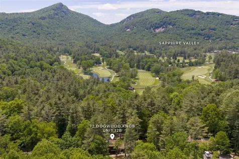 72 Dogwood Knob Sapphire NC 28774