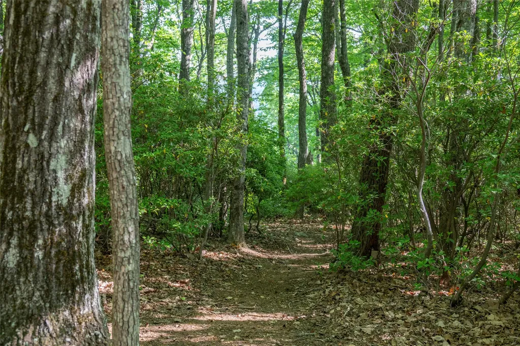 Tmi 33 Toxaway Drive Lake Toxaway NC 28747