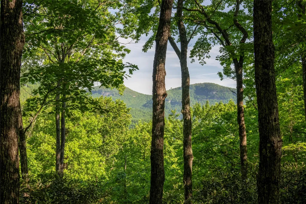 Tmi 33 Toxaway Drive Lake Toxaway NC 28747