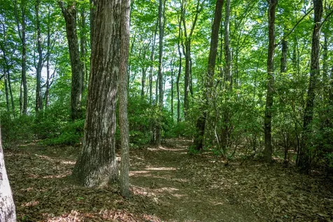 Tmi 33 Toxaway Drive Lake Toxaway NC 28747
