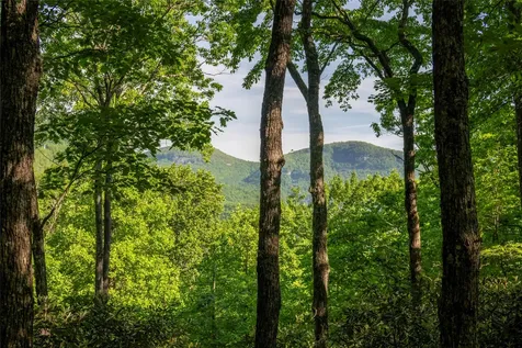 Tmi 33 Toxaway Drive Lake Toxaway NC 28747