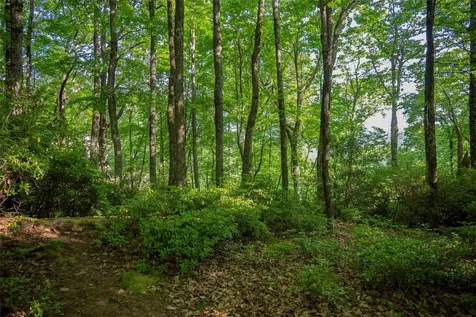 Tmi 33 Toxaway Drive Lake Toxaway NC 28747