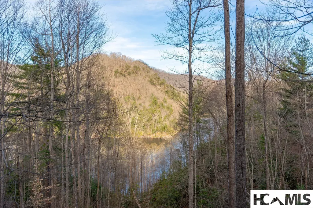 100 Saddle Notch Lane Tuckasegee NC 28783