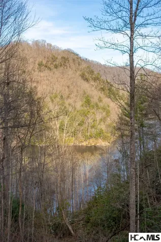 100 Saddle Notch Lane Tuckasegee NC 28783