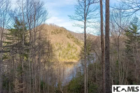 100 Saddle Notch Lane Tuckasegee NC 28783