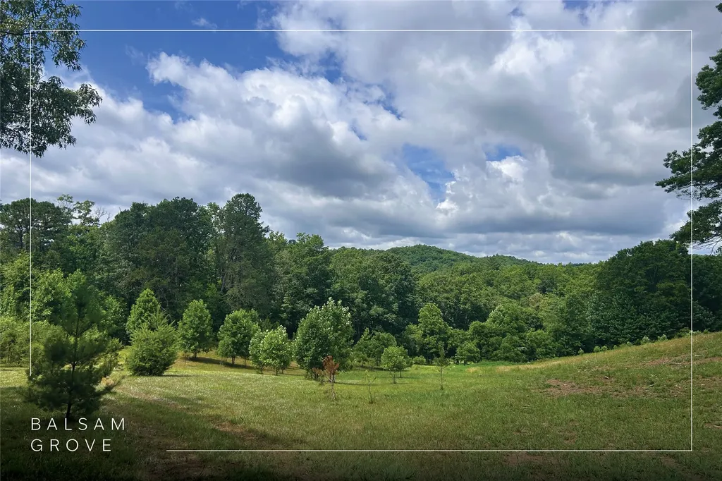 132 Jason Mccall Cemetary Road Balsam Grove NC 28708