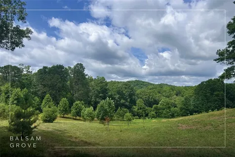 132 Jason Mccall Cemetary Road Balsam Grove NC 28708