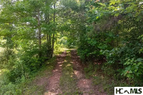 132 Jason Mccall Cemetary Road Balsam Grove NC 28708