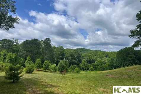 132 Jason Mccall Cemetary Road Balsam Grove NC 28708