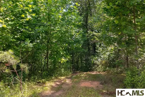 132 Jason Mccall Cemetary Road Balsam Grove NC 28708