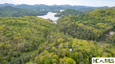 308 Woodsy Pine Trail Glenville NC 28736