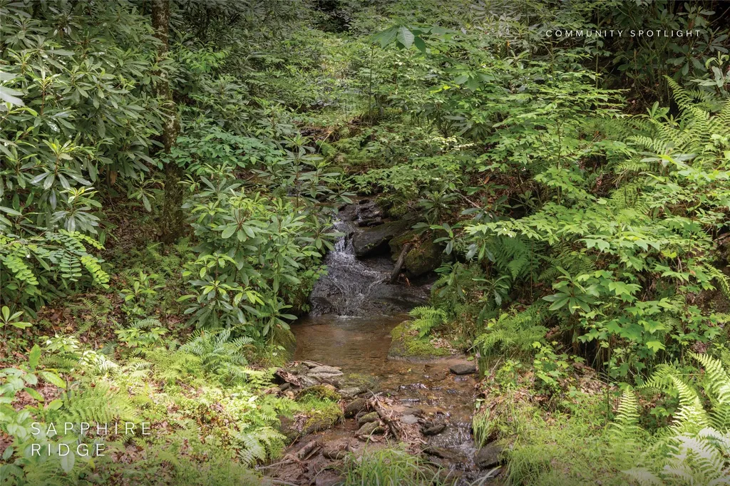 Lot 17 Orchard Way Sapphire NC 28774