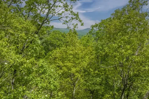Lot 17 Orchard Way Sapphire NC 28774