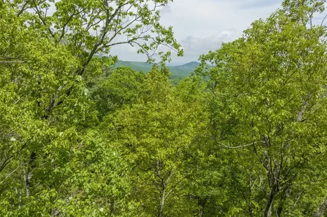 Lot 17 Orchard Way Sapphire NC 28774
