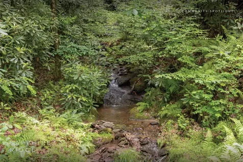 Lot 17 Orchard Way Sapphire NC 28774