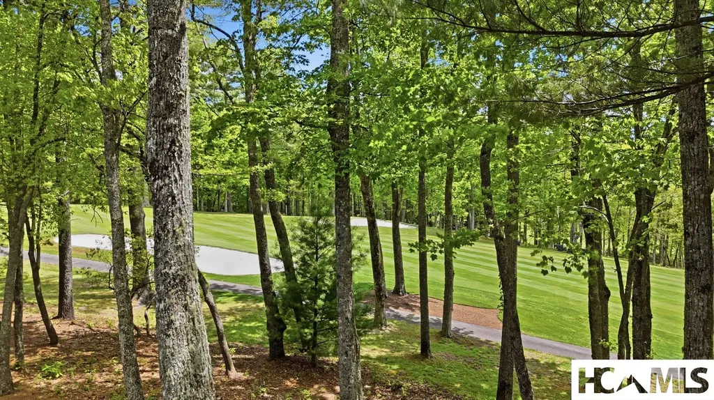 50 First Tee Trail Cashiers NC 28717
