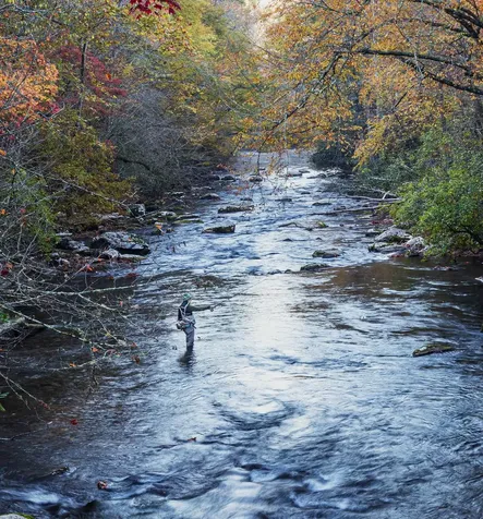 50 First Tee Trail Cashiers NC 28717